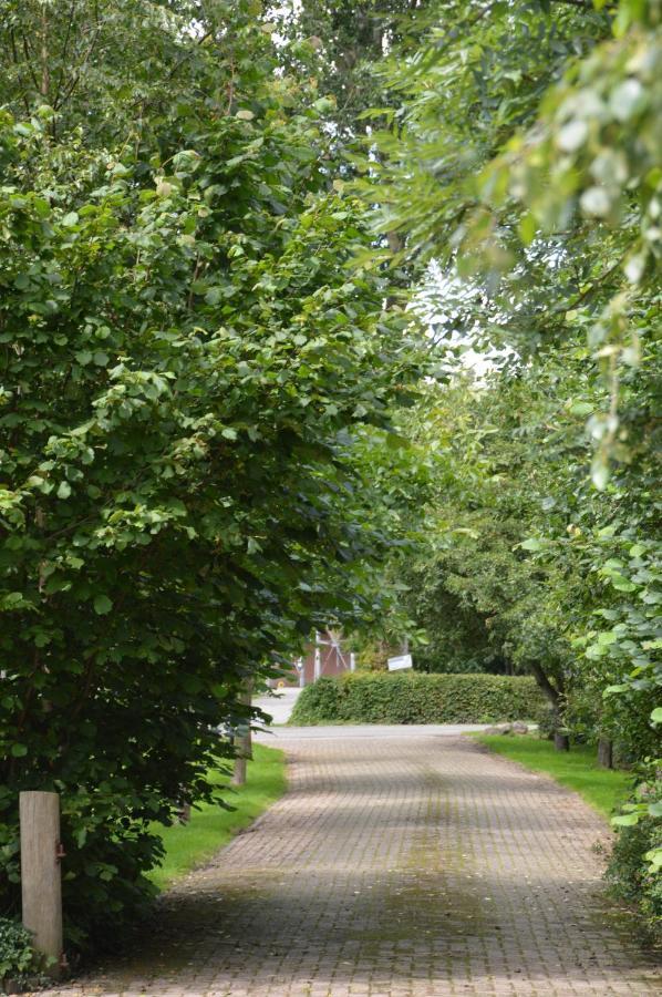 Bij Ons Op 20 Bed & Breakfast Nijeveen Екстериор снимка